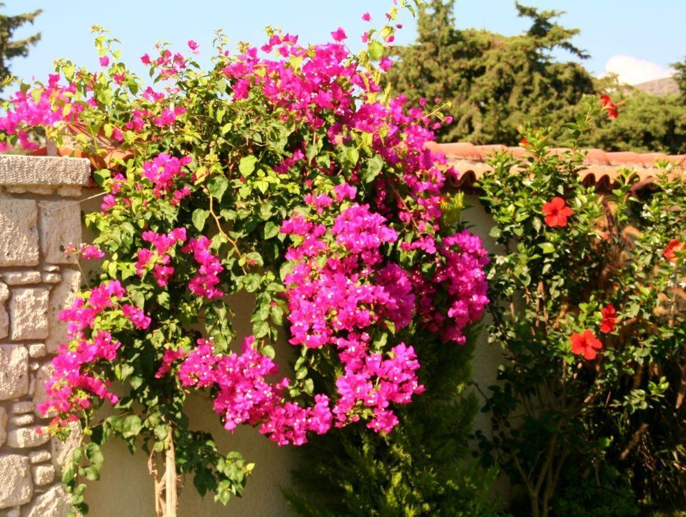 Yasemin Alacati (Adults Only) Exterior foto